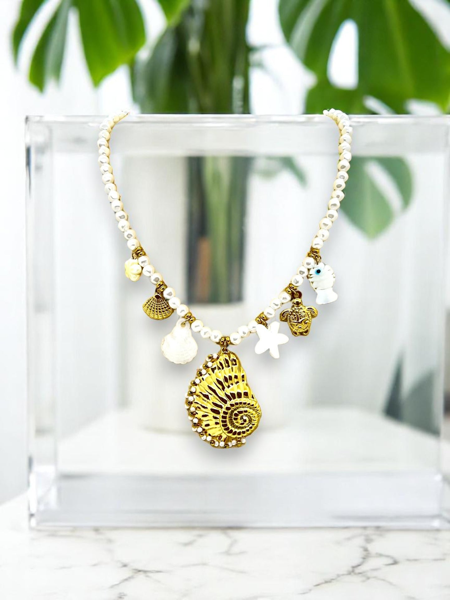 Collier playa