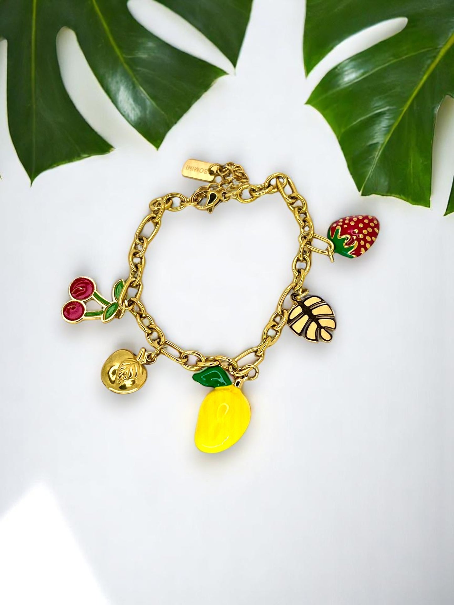Bracelet Multifuit