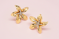 Boucles d'oreille Brava