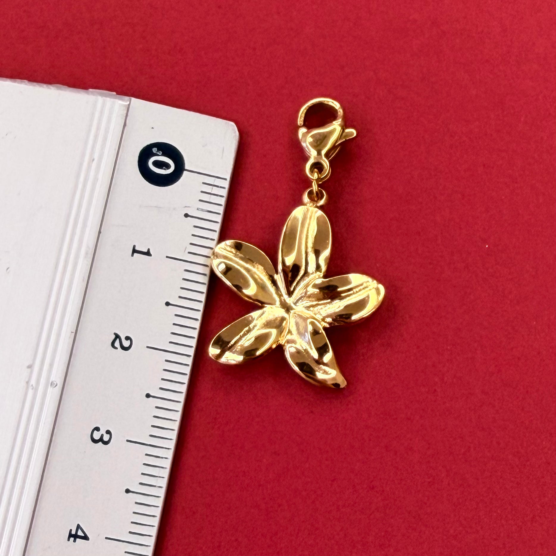 CHARMS Collier Classique