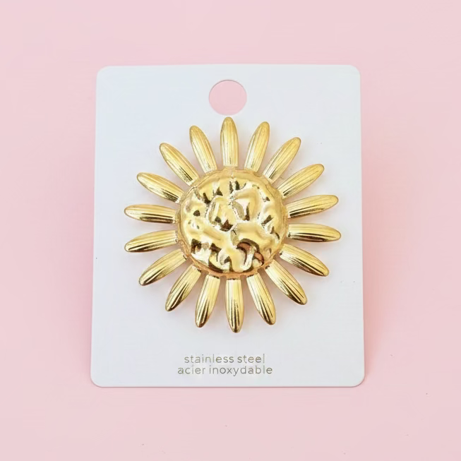 Brache Tournesol